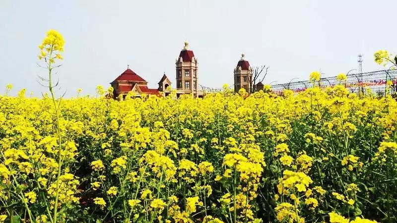 洛陽花會(huì)圖