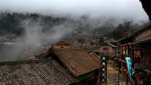洛陽花會(huì)圖