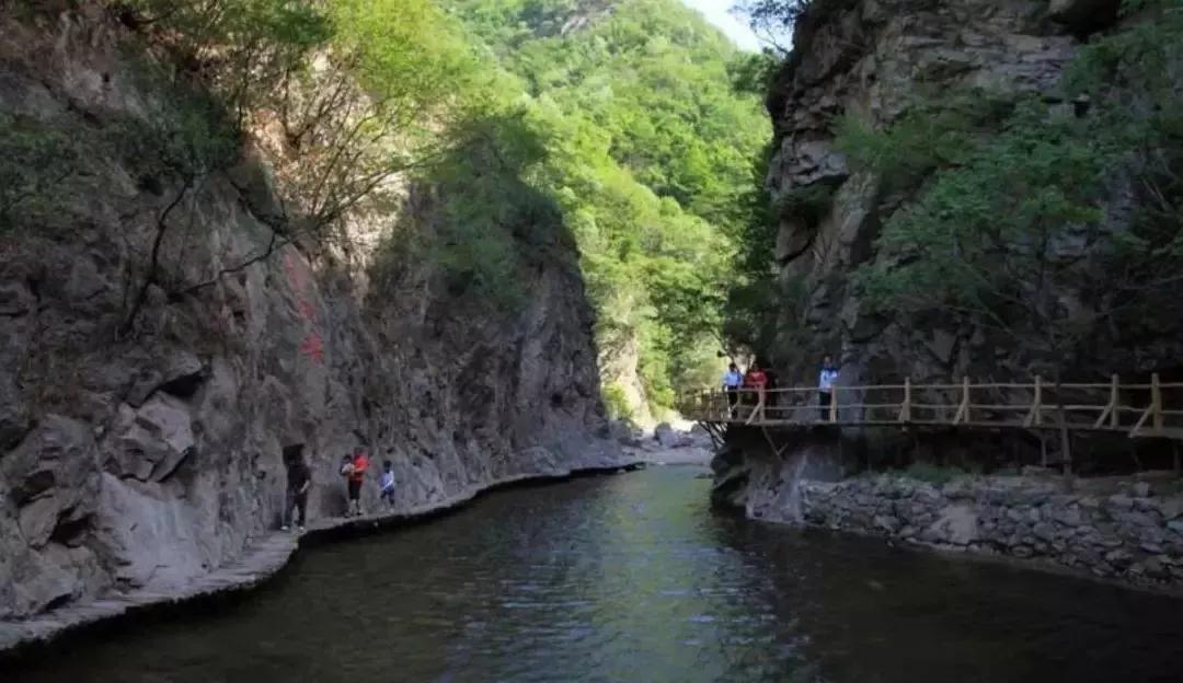 洛陽花會(huì)圖