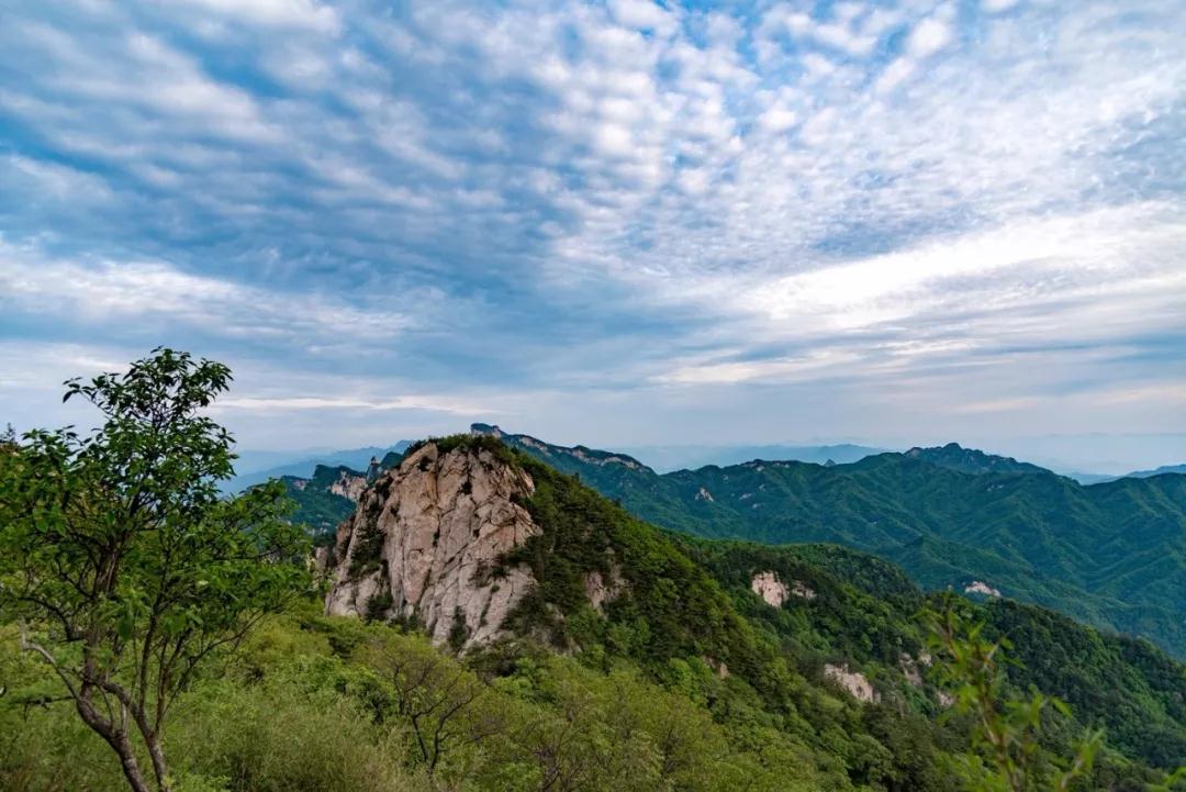 洛陽花會(huì)圖