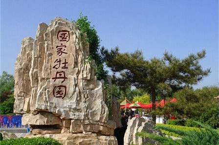 國家牡丹園.JPG